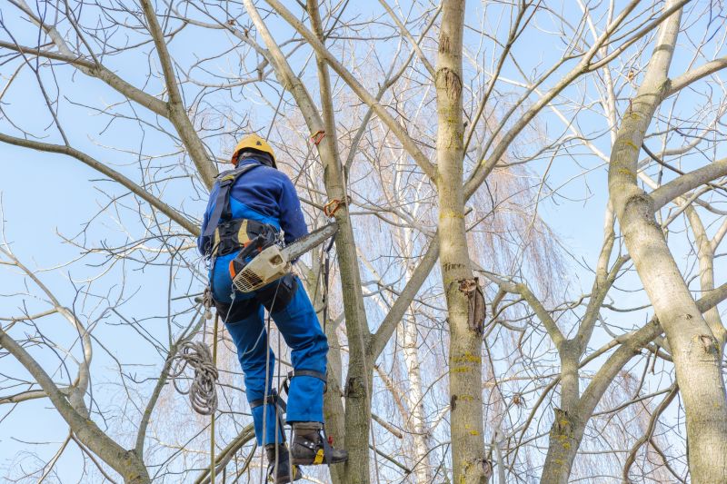 Tree Service Contractors