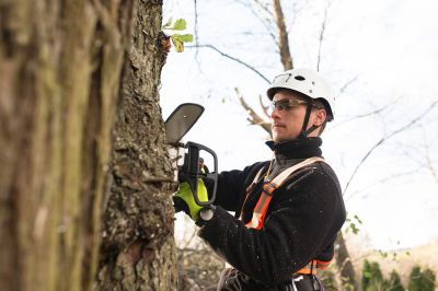 Certified Tree Specialists